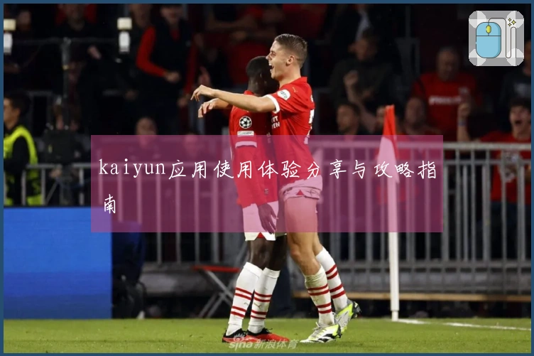 kaiyun应用使用体验分享与攻略指南