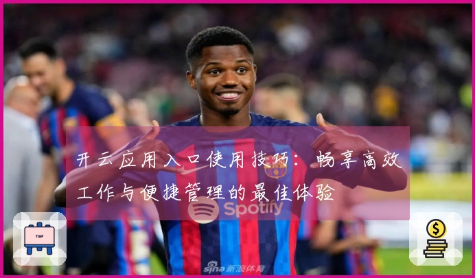 开云应用入口使用技巧：畅享高效工作与便捷管理的最佳体验